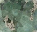 Green Fluorite Crystals on Quartz - China #128565-2
